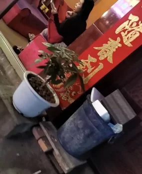 西双版纳景洪市路边快餐